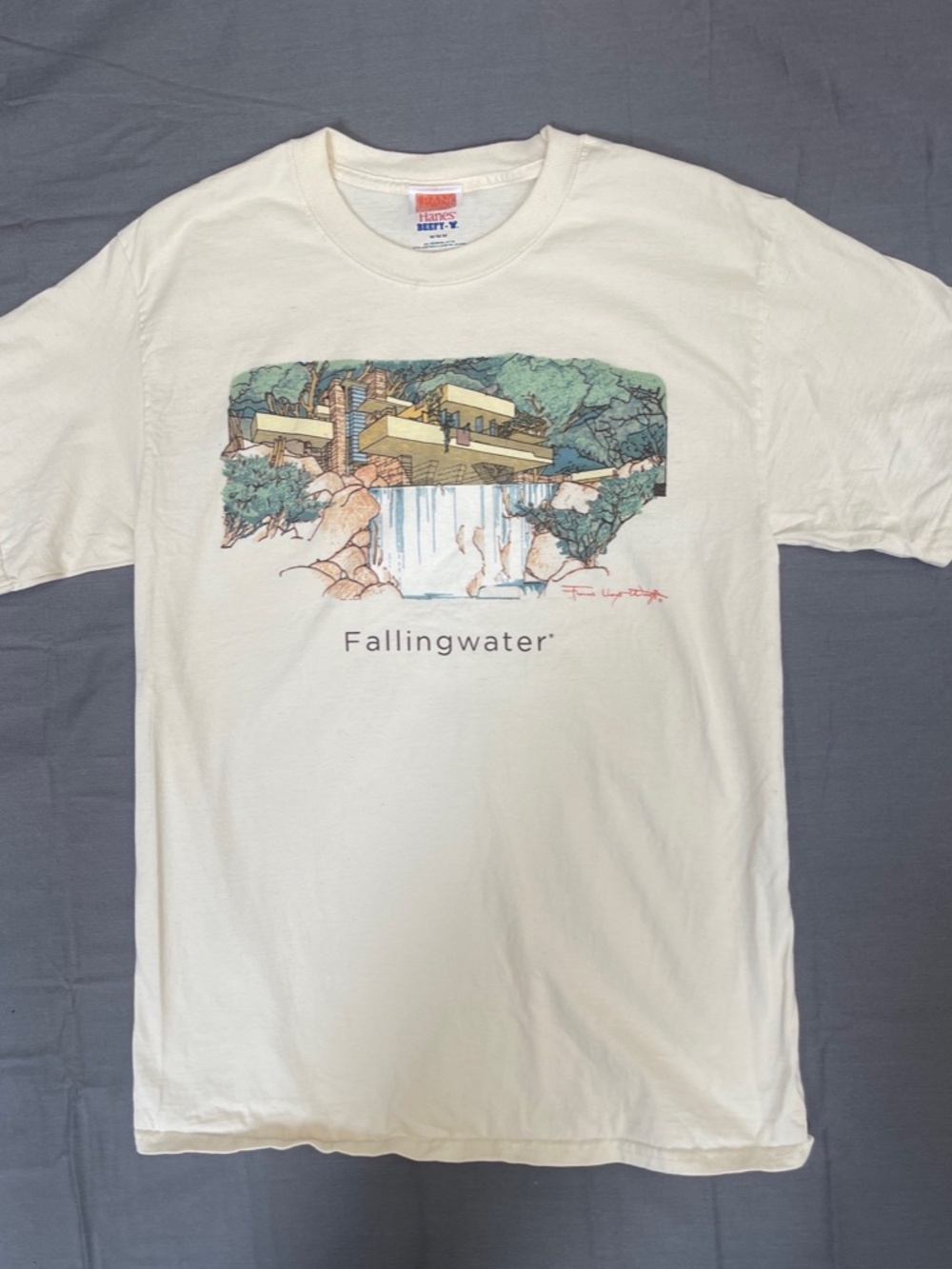 Vintage 1990's Frank Lloyd Wright "Fallingwater" Graphic T-shirt